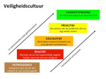 (Nederlands) Veiligheidscultuur – Veiligheid in de praktijk (1)